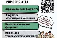Безымянный1