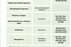 Безымянный2