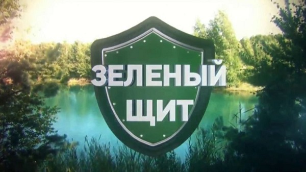 «Зелёный щит»