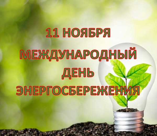 11 ноября отмечают Международный день энергосбережения